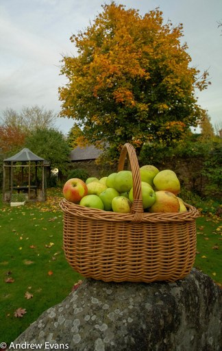 Food & Drinks 5, Lea House Bed and Breakfast, Herefordshire