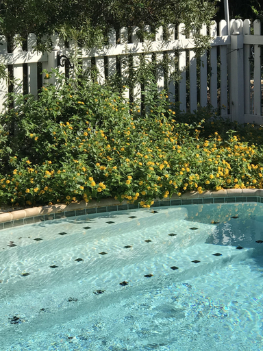 Sport & Beauty 2, The Plantation House Boutique Inn, Travis