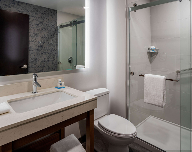 Bathroom 5, Hyatt Place Tampa Downtown, Hillsborough