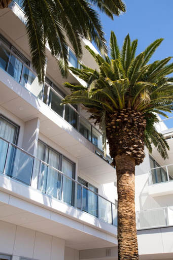 Exterior & Views 2, The Palms Apartments, Adelaide