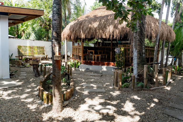 Others 5, Crazy Bears Hostel, Moalboal