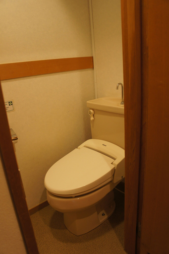 Bathroom 5, Hotel Oyanagi, Tagami