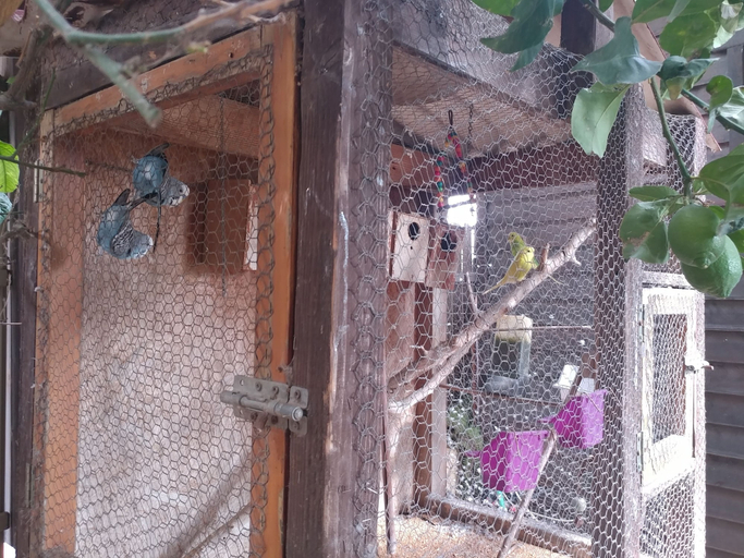 Others 4, Assaf's Cabin