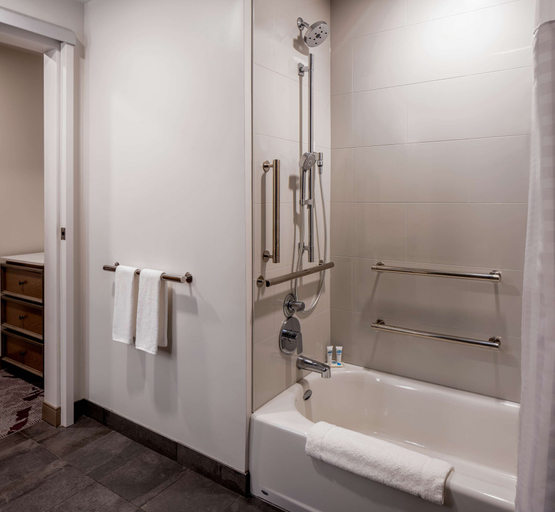 Bathroom 5, Hyatt Place Tampa Downtown, Hillsborough
