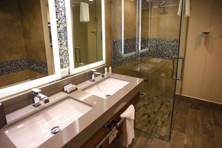 Bathroom 5, Hampton Inn by Hilton Piedras Negras, Piedras Negras