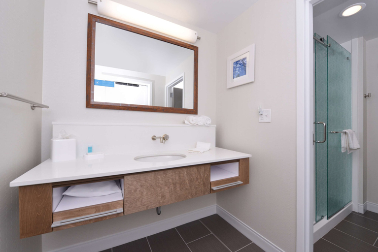 Bathroom 4, Hampton Inn & Suites Cincinnati-Mason, Warren