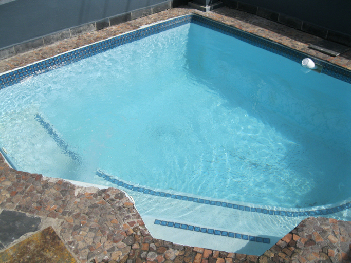 Sport & Beauty 3, Leeuwenzee Guest House, City of Cape Town