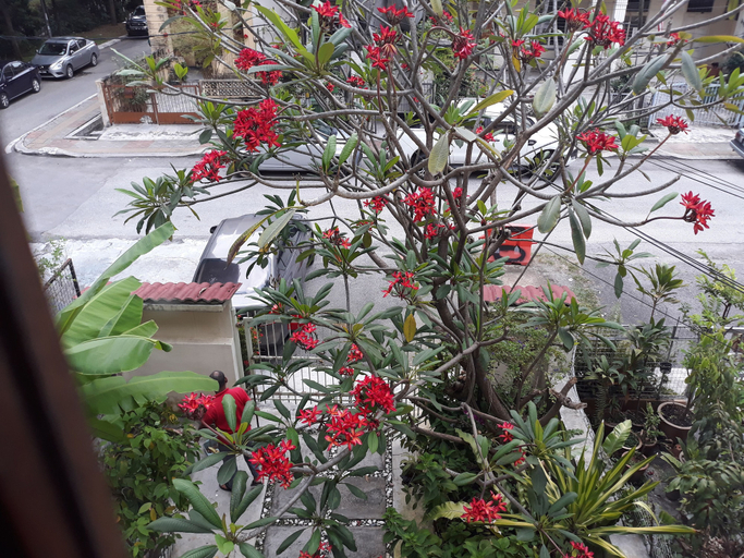 Others 5, Sarang Vacation Homes, Kuala Lumpur