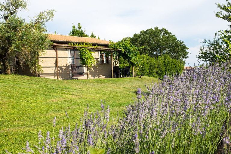 Exterior & Views 2, Il Poggio Dell'Artilla, Viterbo