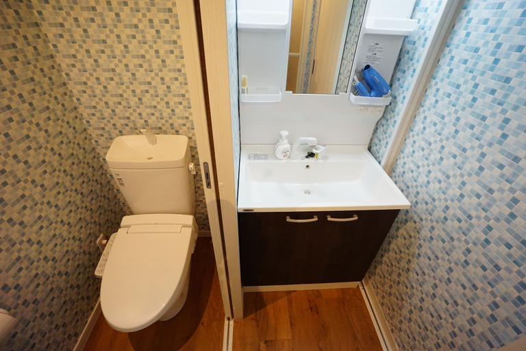 Bathroom 3, Terry's Apartment Namba South VI AD06A, Osaka