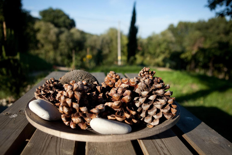 Food & Drinks 4, Agriturismo Casa dell'Orto, Chieti