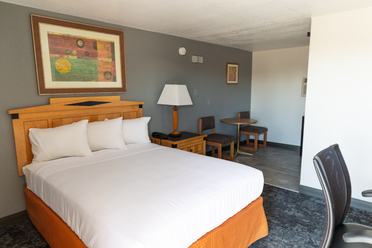 Bedroom 4, Econo Inn, Washakie