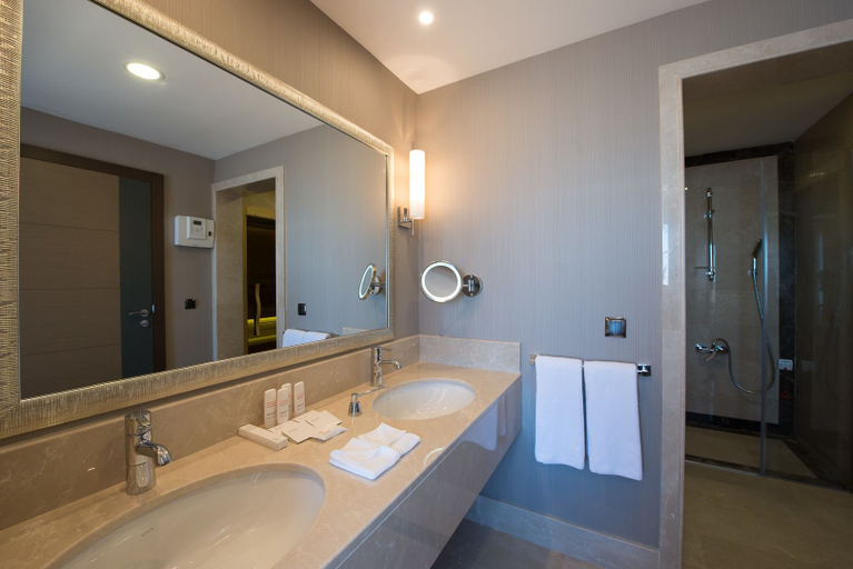 Bathroom 5, Radisson Blu Hotel, Ordu, Perşembe