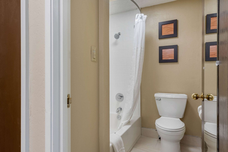 Bathroom 4, Comfort Inn Indianapolis South, Indianapolis