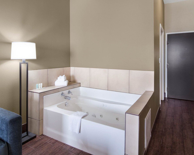 Bathroom 4, Comfort Suites Odessa Area, Ector