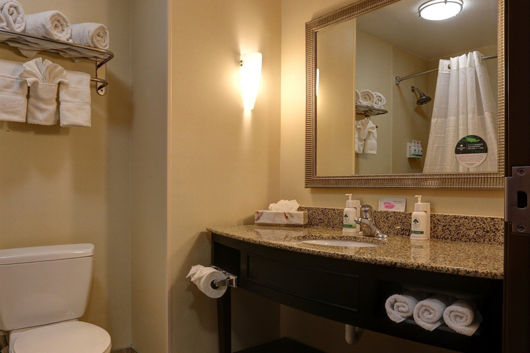 Bathroom 4, GreenTree Inn & Suites Florence, Pinal