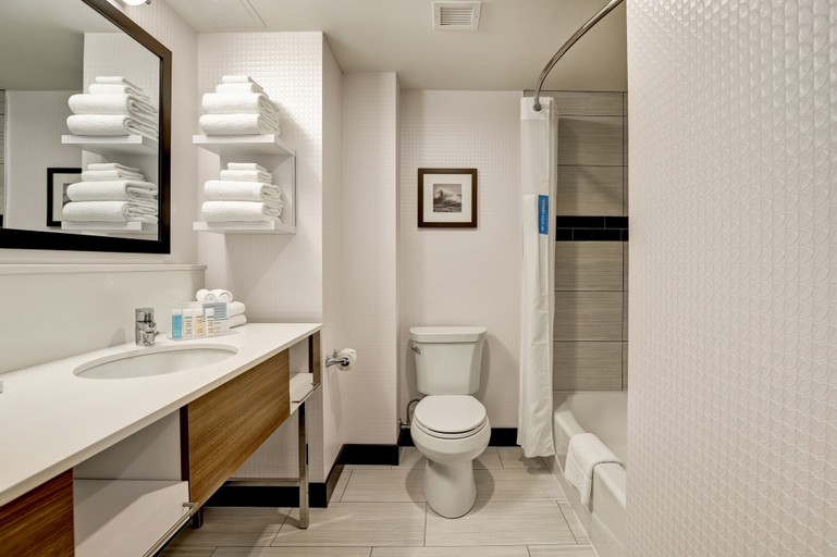 Bathroom 4, Hampton Inn Turlock, Stanislaus