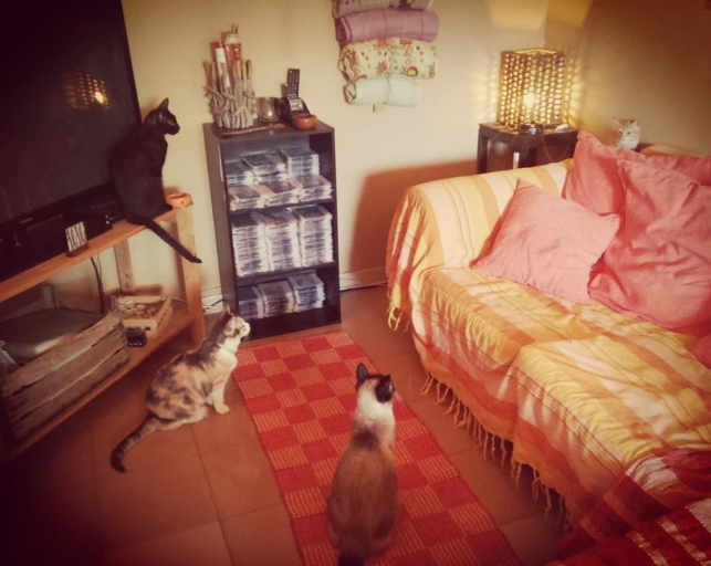 Bedroom 2, Oasi LIV Palermo, Palermo