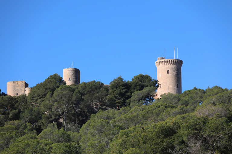 Exterior & Views 2, Belle Zurbarán Palma Hotel, Baleares