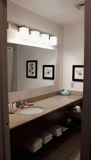 Bathroom 4, Country Inn & Suites by Radisson, Marion, IL, Williamson