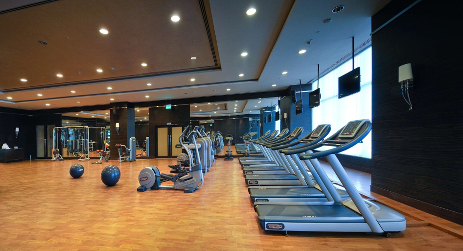 Others 4, Radisson Blu Hotel New Delhi Paschim Vihar, Delhi