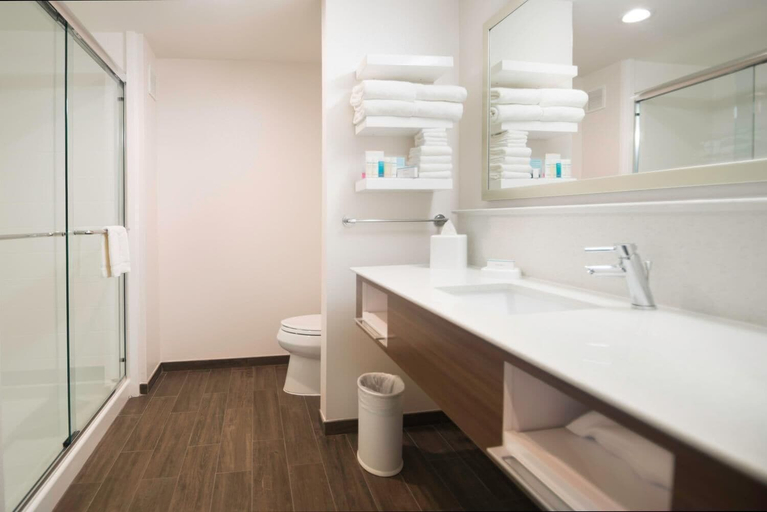 Bathroom 5, Hampton Inn & Suites La Porte, Houston