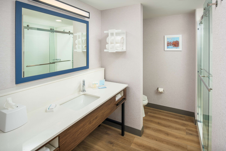 Bathroom 4, Hampton Inn Blue Ridge, Fannin