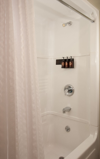 Bathroom 3, Lake Yellowstone Hotel and Cabins, Teton
