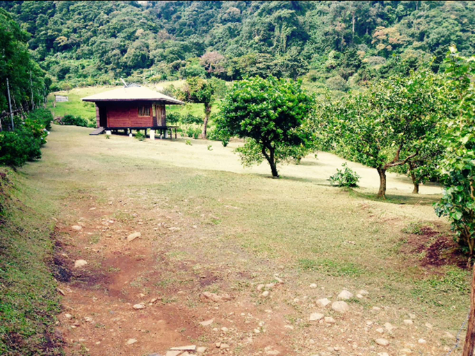 Others 4, Lemon House Monteverde, Puntarenas
