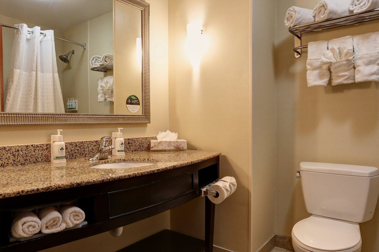 Bathroom 4, GreenTree Inn & Suites Florence, Pinal