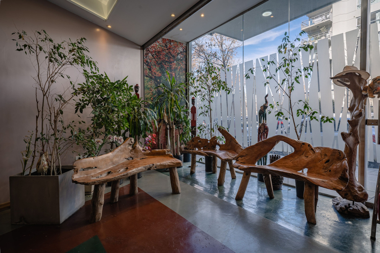 Others 2, Shoshana Hotel Boutique, Distrito Federal