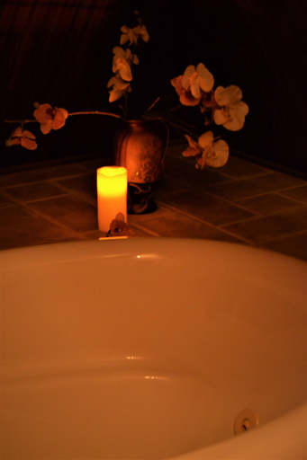Bathroom 3, The Carleton House, Fannin