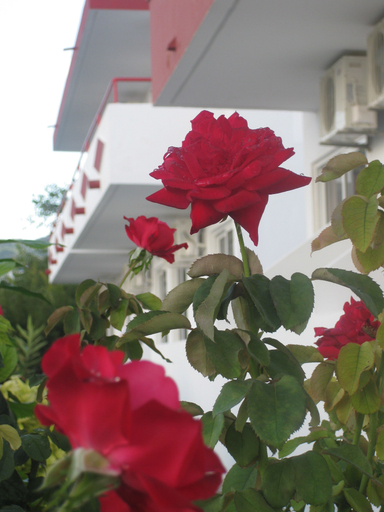 Exterior & Views 2, Stenna Apartments, South Aegean