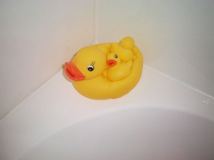 Bathroom 3, Eastgate Apartments, Highland