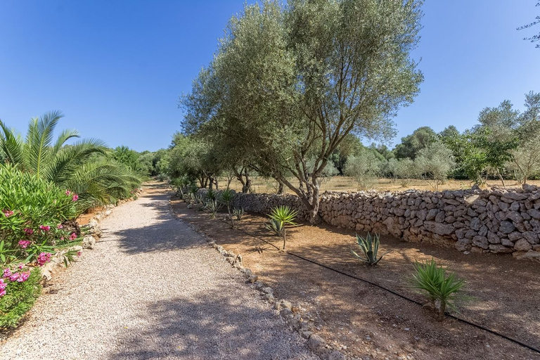 Others 5, Casa Arco, Baleares