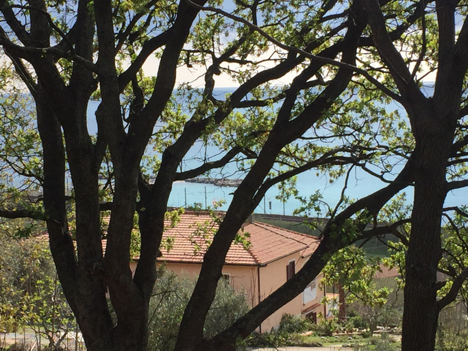 Exterior & Views, B&B Colle degli Ulivi, Cosenza