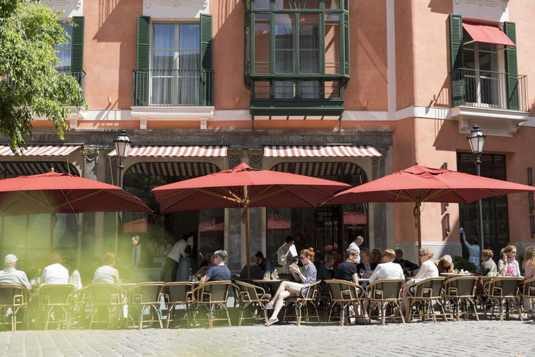 Exterior & Views 2, Hotel Cappuccino - Palma, Baleares