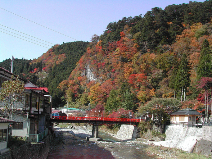 Others 4, Atarashiya Ryokan - Dorogawa-onsen Hot Spring, Tenkawa