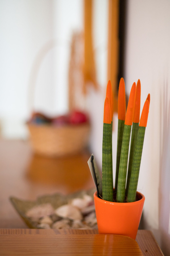 Food & Drinks 5, Megris Country Houses, Peloponnese