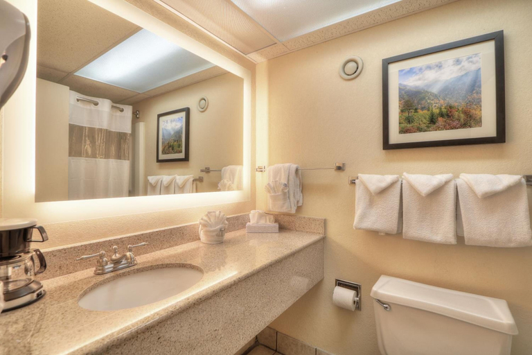 Bathroom 4, Edgewater Hotel - Gatlinburg, Sevier