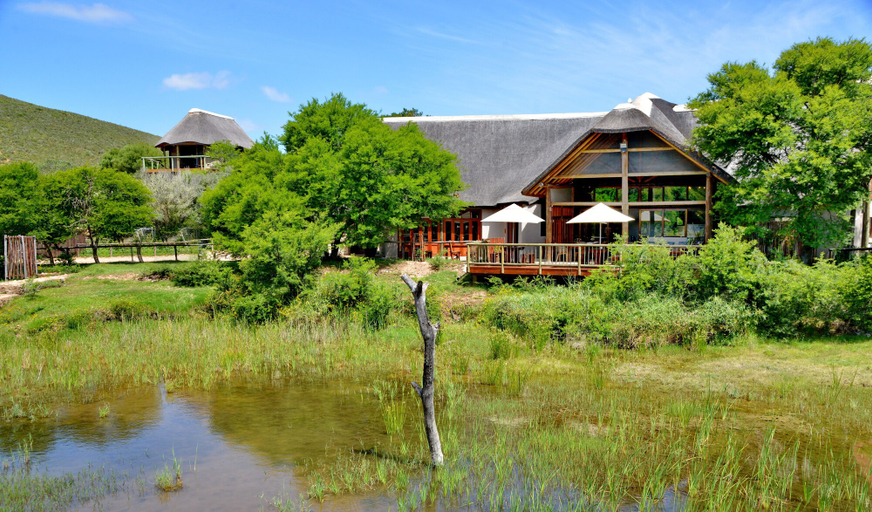 Exterior & Views 2, Garden Route Safari Camp, Eden
