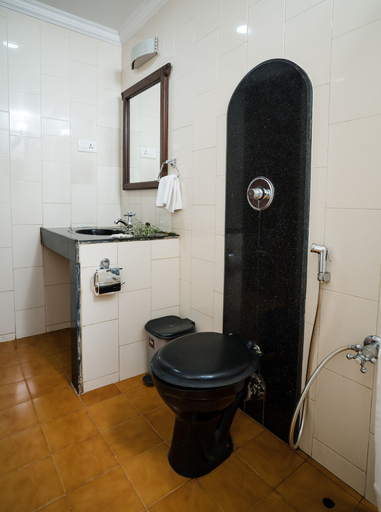 Bathroom 5, Leoney Resort, North Goa