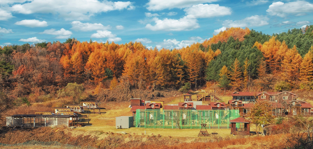 Exterior & Views 1, Nature and Healing, Hoengseong
