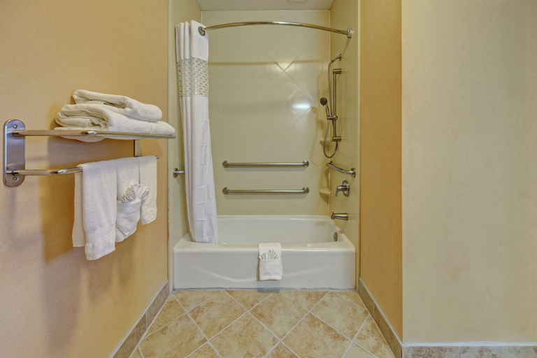 Bathroom 5, Hampton Inn Corsicana, Navarro