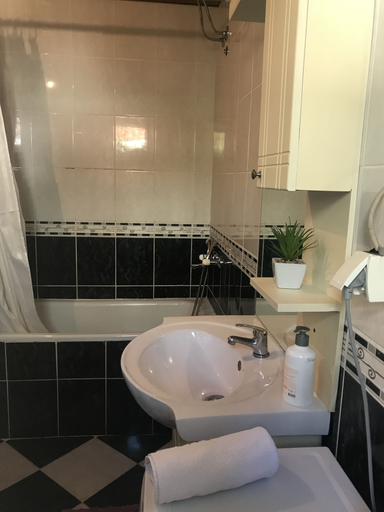 Bathroom 3, Apartments Ivanisevic