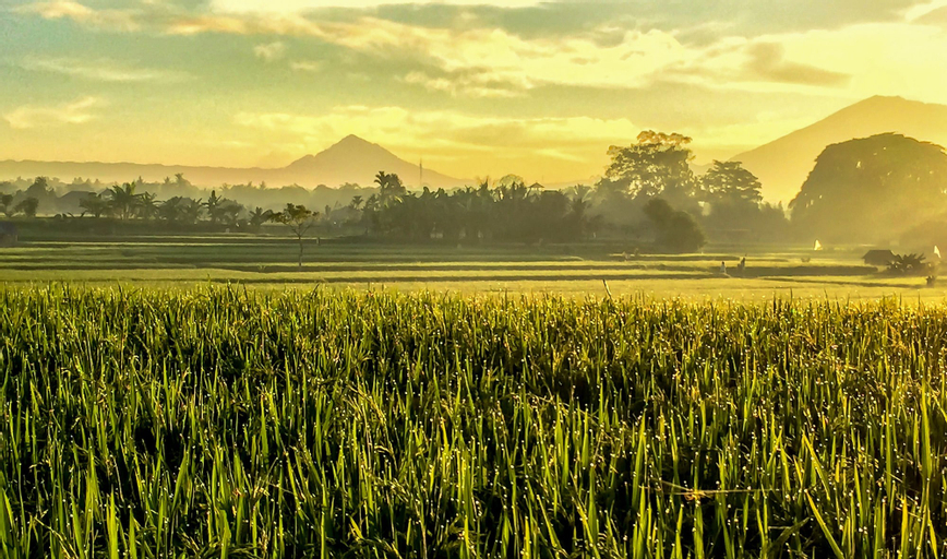 Exterior & Views 1, Devi's Place, Gianyar