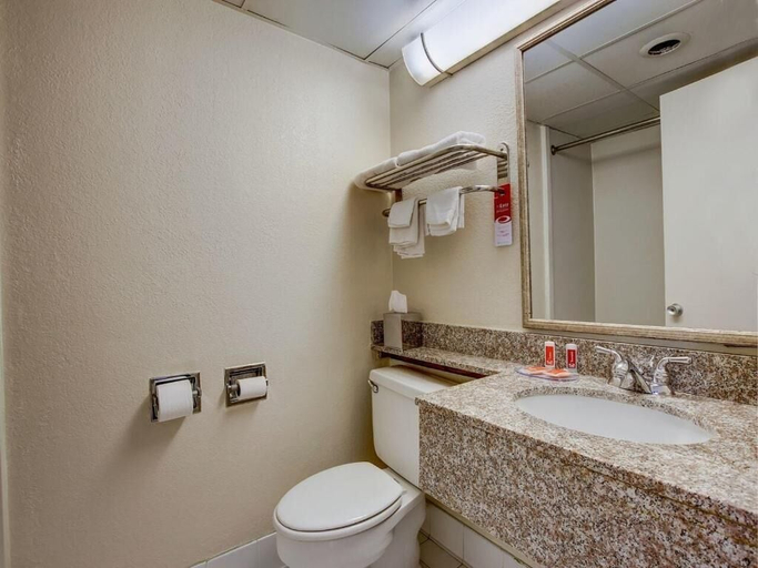 Bathroom, Red Carpet Inn, Morris