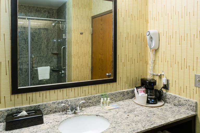 Bathroom 4, Holiday Inn Express BIG RAPIDS by IHG, Mecosta