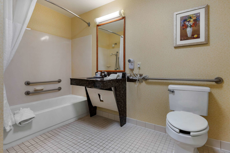 Bathroom 4, Comfort Inn & Suites Camden, Kershaw