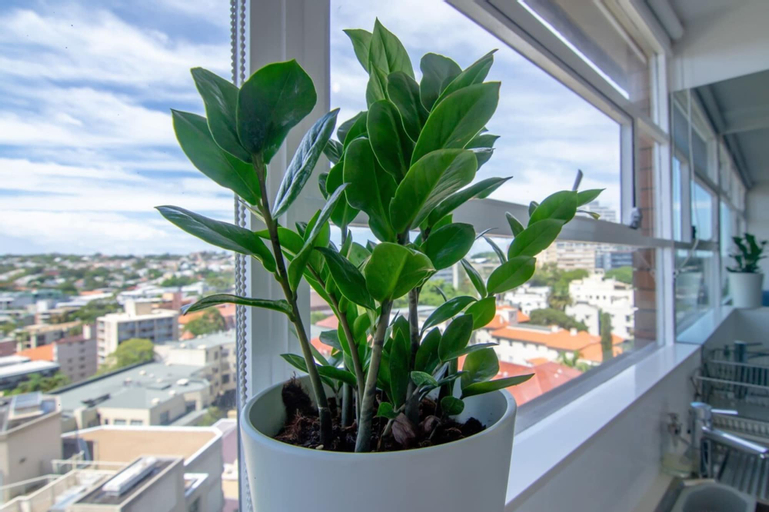 Exterior & Views 4, Bright 1 Bedroom Studio With Amazing City Views, Sydney
